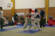 Steven Bailhache Open National FSKO Prmesques-2006